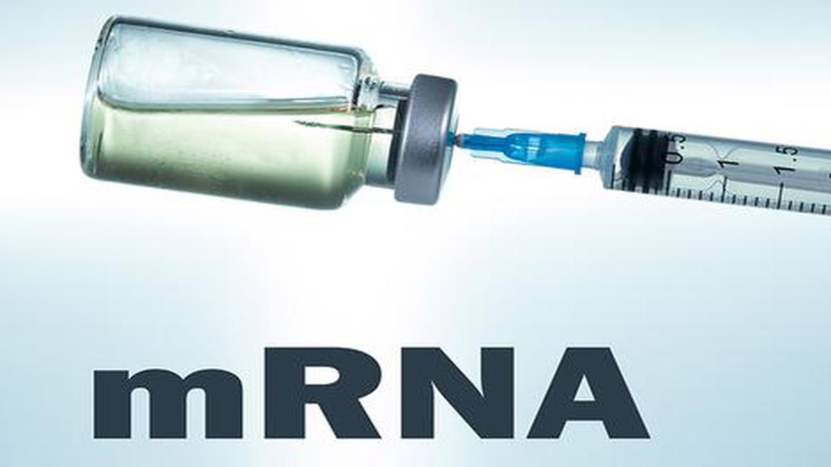 India’s first mRNA COVID-19 vaccine likely to be rolled out by April