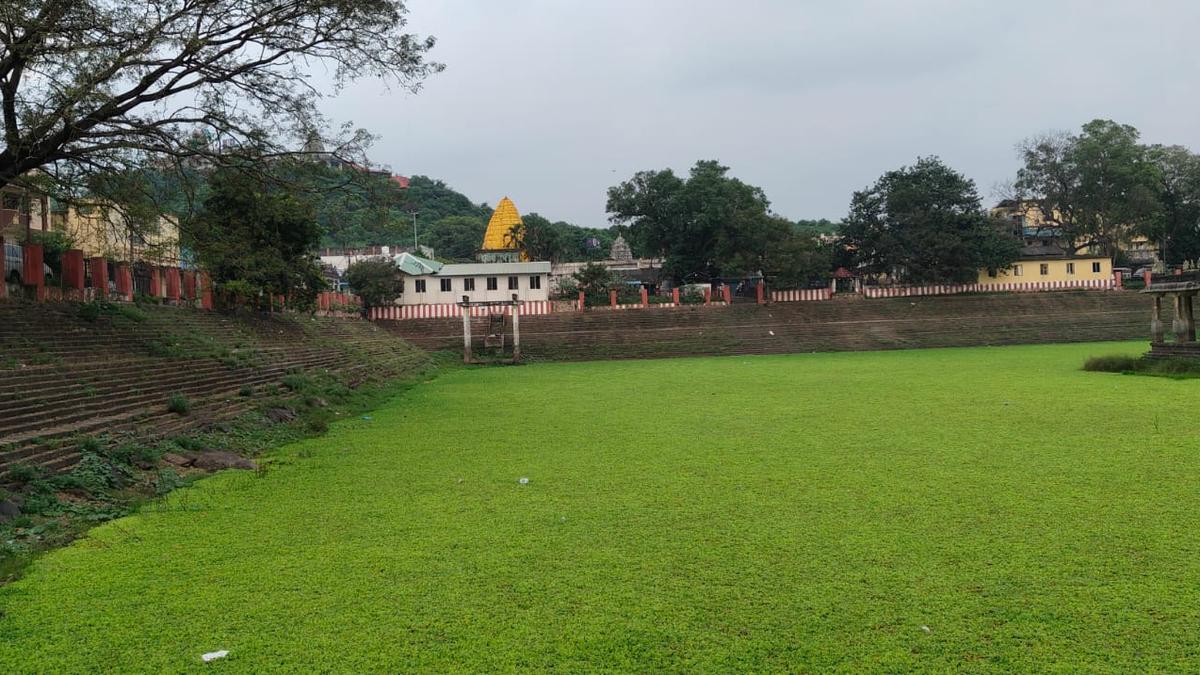Devotees demand urgent restoration of ‘neglected’ Thiruneermalai temple tank