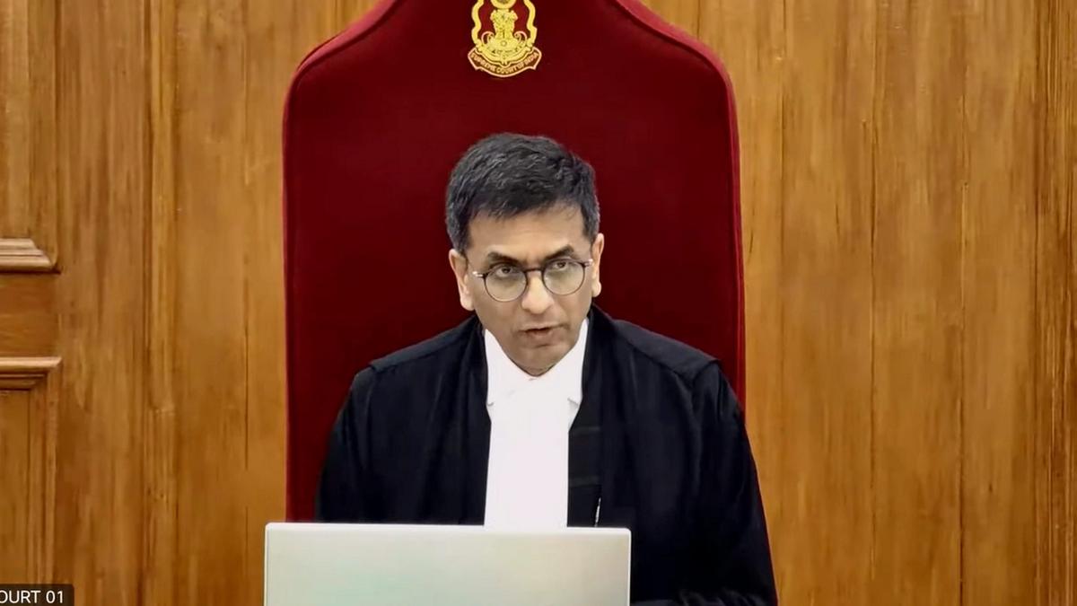 No greater feeling than serving those in need, says outgoing CJI D Y Chandrachud