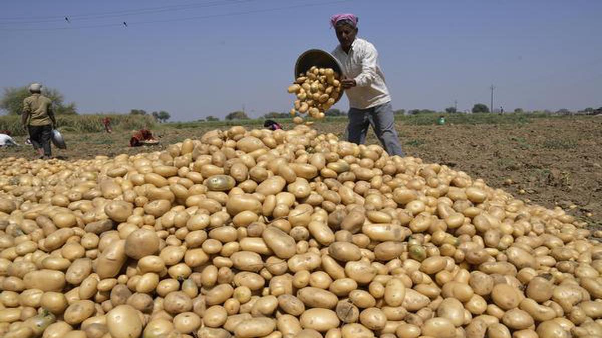 Now, PepsiCo offers to settle case against Gujarat potato farmers