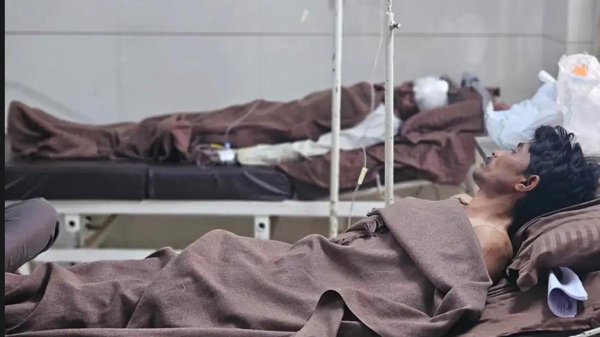 Farmer kills leopard in fight for survival, booked under Wildlife Act