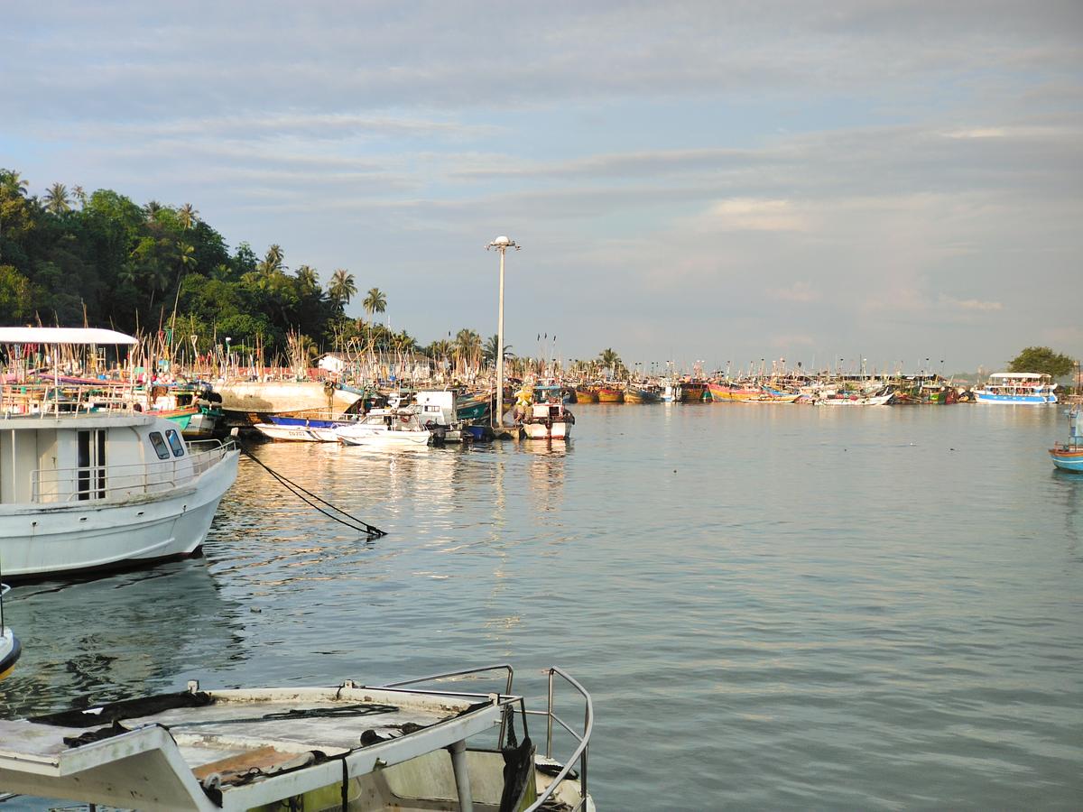 As the dawn Mirisa Harbor, the boats are ready to visit the sea, the whale is ready to visit.