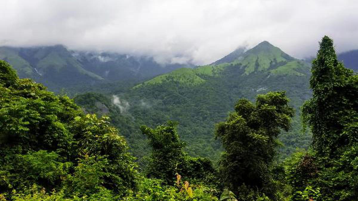 Draft EIA Notification 2020 could spell disaster for Western Ghats, say ...