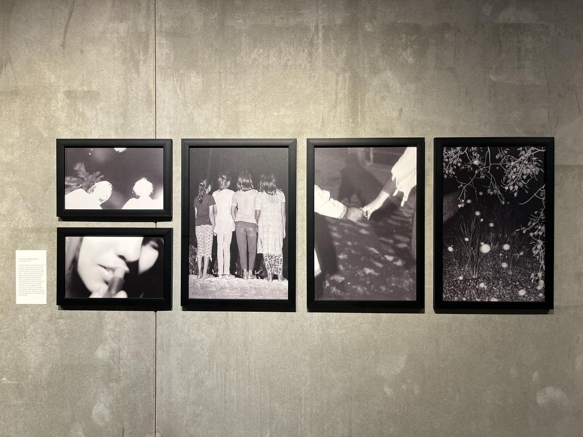  La serie di Jannan Kazmi Her Hands are Filled with Stars