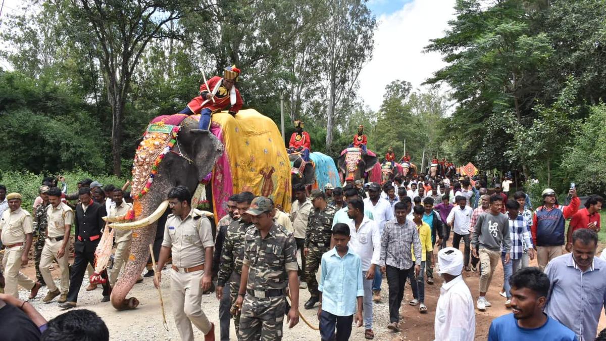 Mysuru Dasara elephants, mahouts insured for ₹2.5 crore