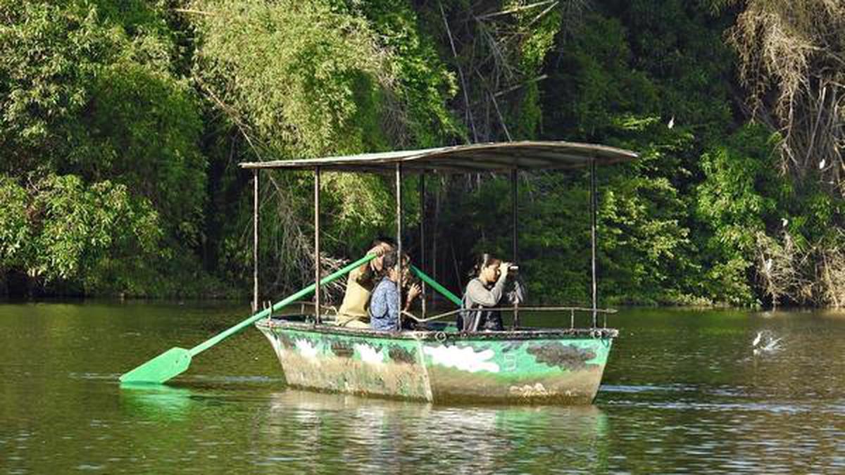 Birds ennumerated at Ranganathittu sanctuary