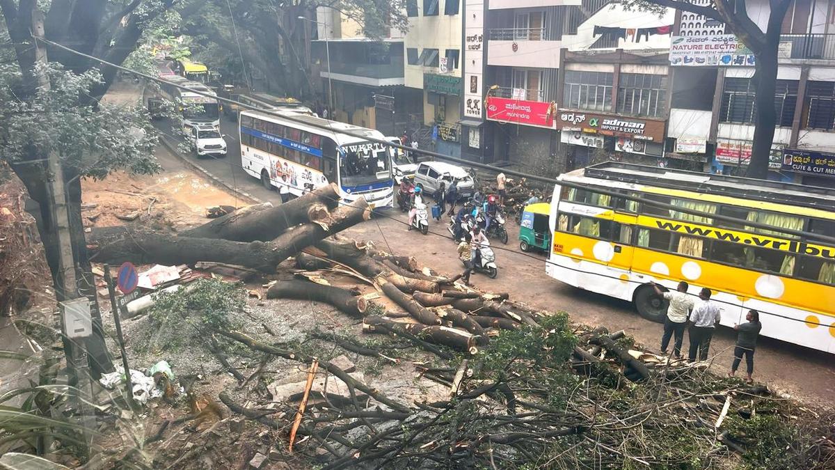 Bengaluru rains: Overnight downpour submerges city roads, disrupts traffic