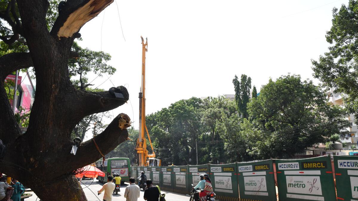 BMRCL’s pre-monsoon safety drive: 750 tree branches along Bengaluru metro lines to be trimmed