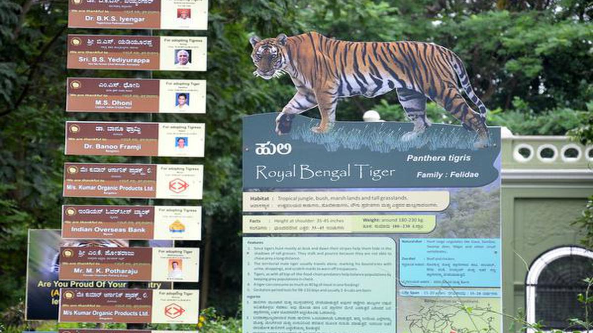 Animal adoption fees in Karnataka zoos hiked after 9 years - The Hindu
