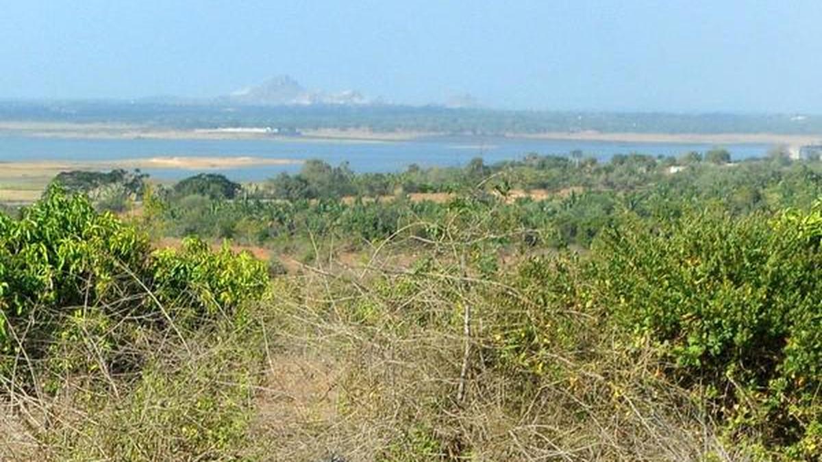 ‘KIADB for dereserving land chosen for water project’ The Hindu