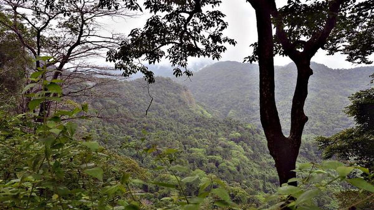 Boost for conservation as six more sanctuaries in Karnataka get buffer