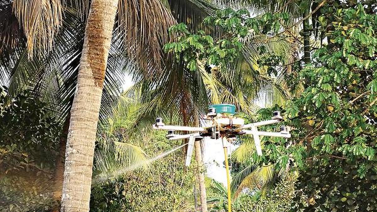 Drones set to replace labourers in spraying fungicide The Hindu