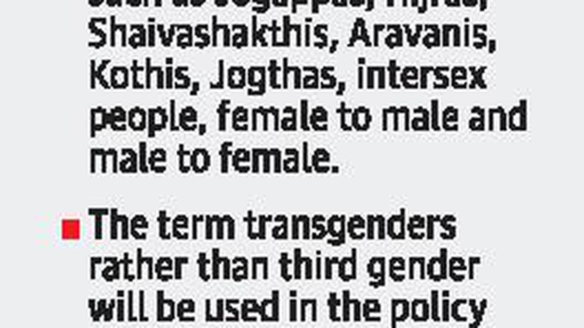 States Transgender Policy Gets Cabinet Approval The Hindu 