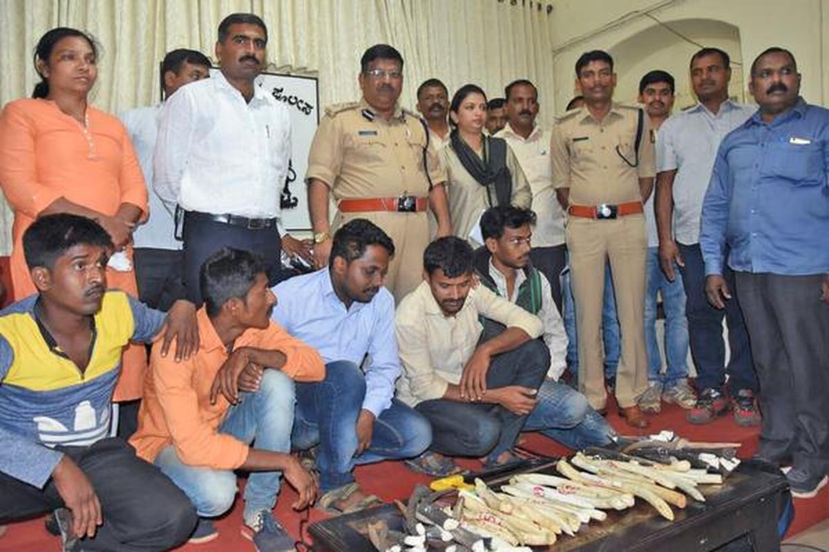 Police bust illegal wildlife trade racket, arrest five persons - The Hindu