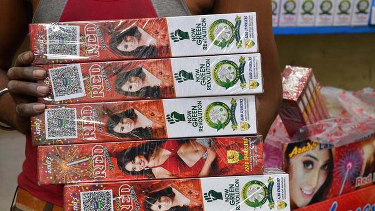 Karnataka govt issues guidelines to identify 'green crackers' The Hindu