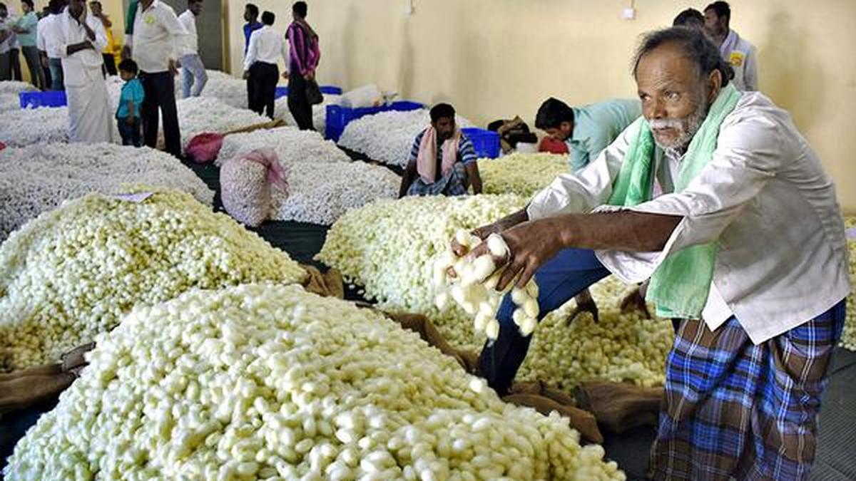 Reeling units key for viability of new cocoon market The Hindu