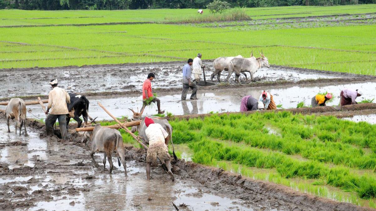 Farmers describe 2022 Union Budget as disappointing