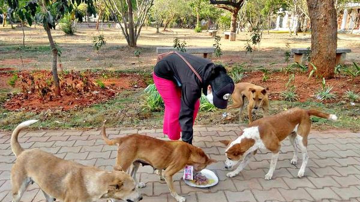 Is Dog Breeding Profitable In India
