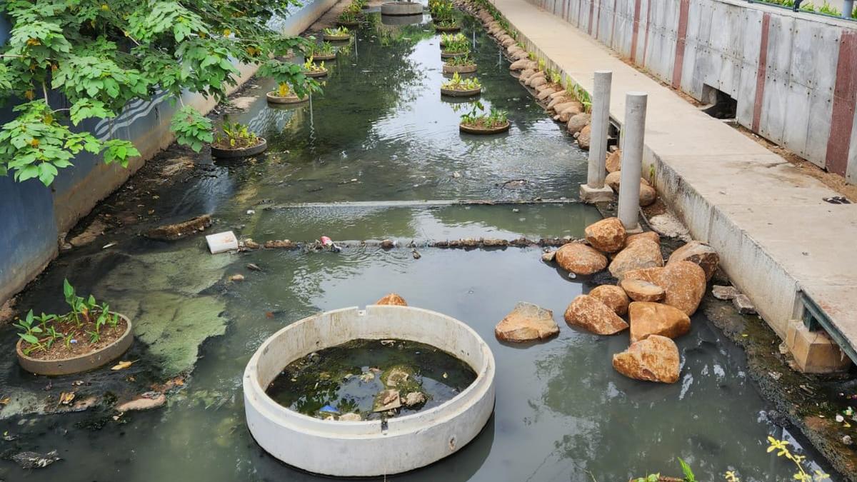 Beautification of SWD: BBMP places flower pots on sewage water at K-100