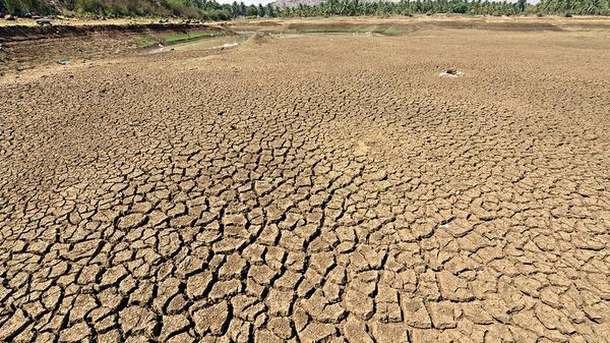 Droughthit taluks in Karnataka to get ₹2 crore each The Hindu