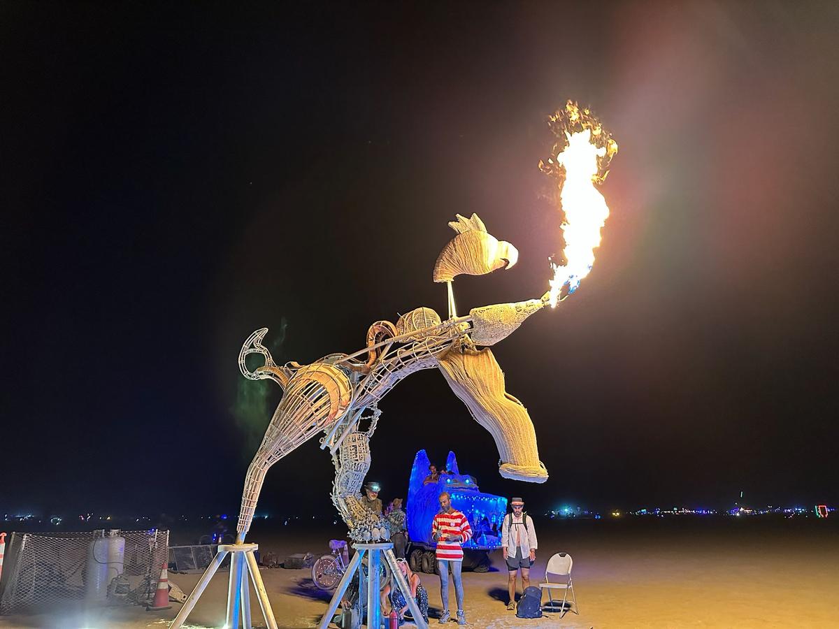 2025 में बर्निंग मैन में नवागुंजारा