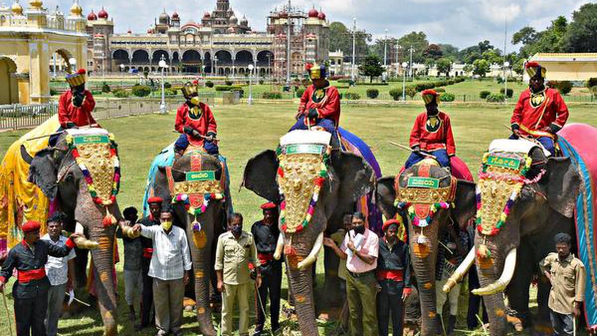 Dasara elephants make grand entry into palace