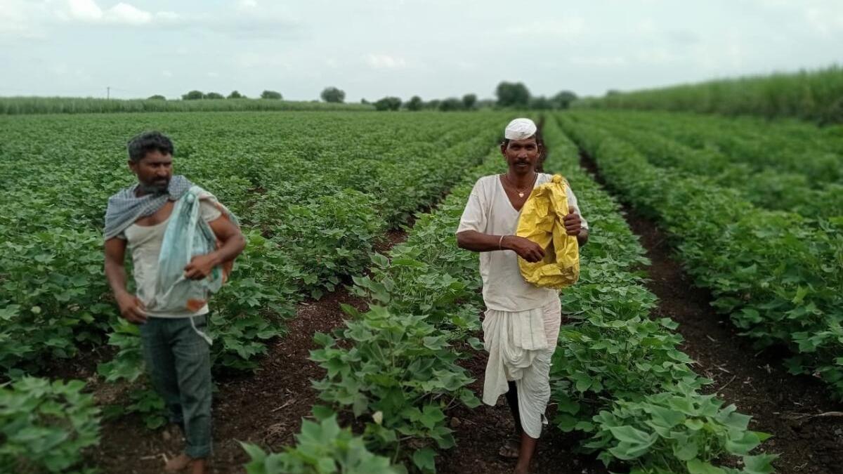 Karnatraka Budget: PM-MITRA textile park in Kalaburagi gets ₹75-crore allocation