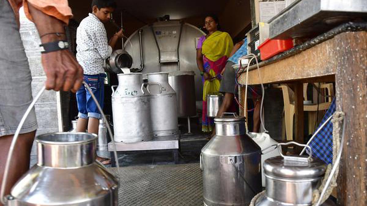 Milk trade takes a sour turn for farmers in Karnataka