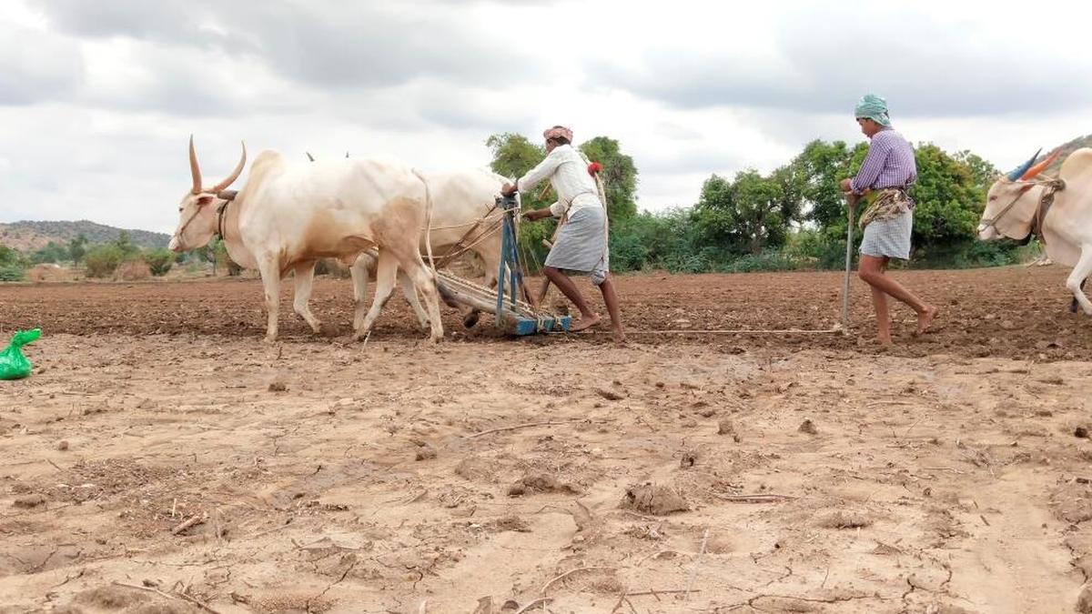 Karnataka Agriculture Department sets sowing target of 4.02 lakh hectares for kharif season in Yadgir district