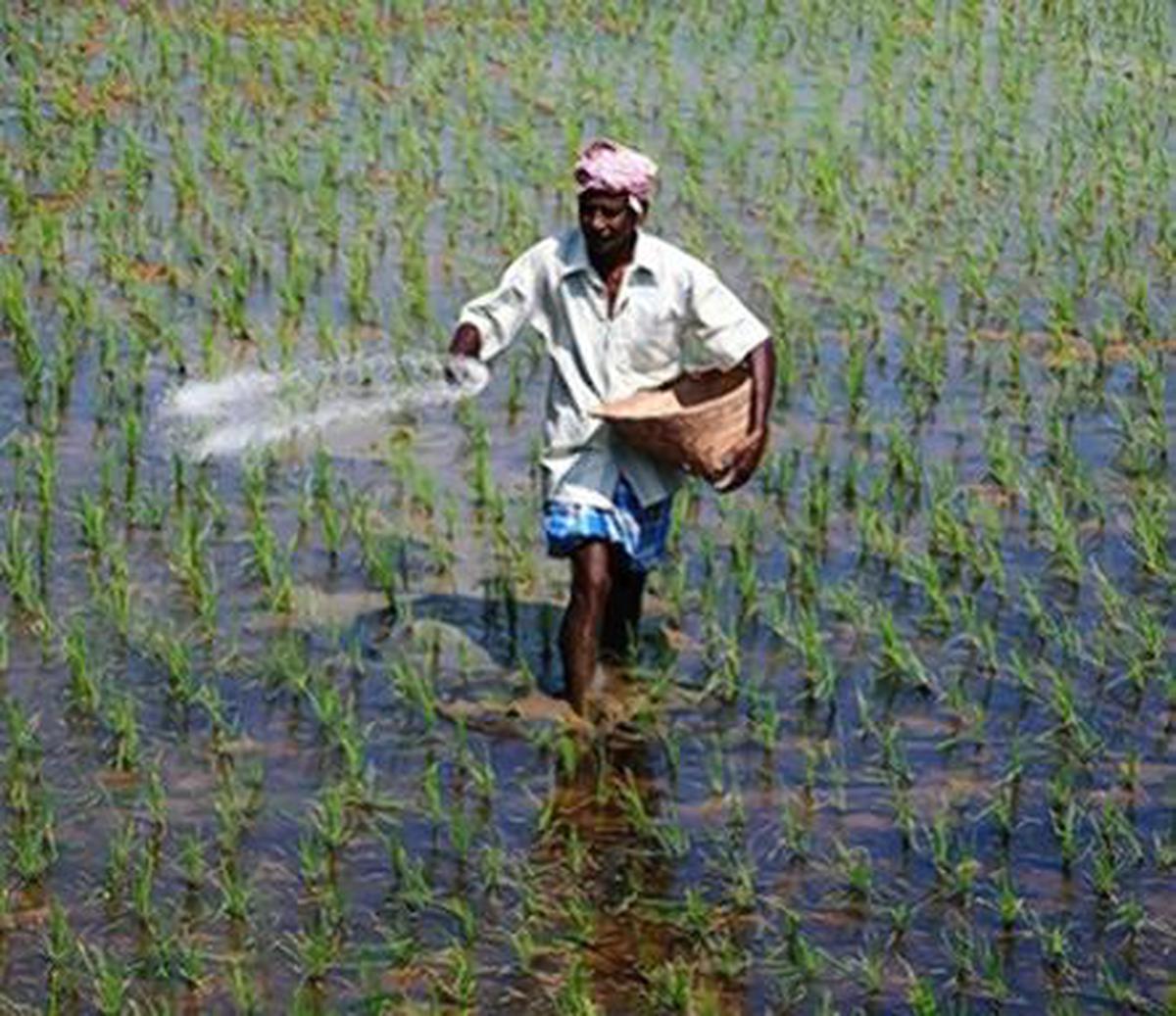 Centre ‘doubles’ fertilizer subsidy as prices see a surge