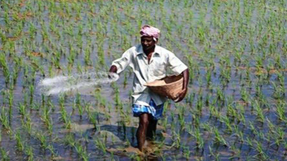 Centre ‘doubles’ Fertilizer Subsidy As Prices See A Surge - The Hindu