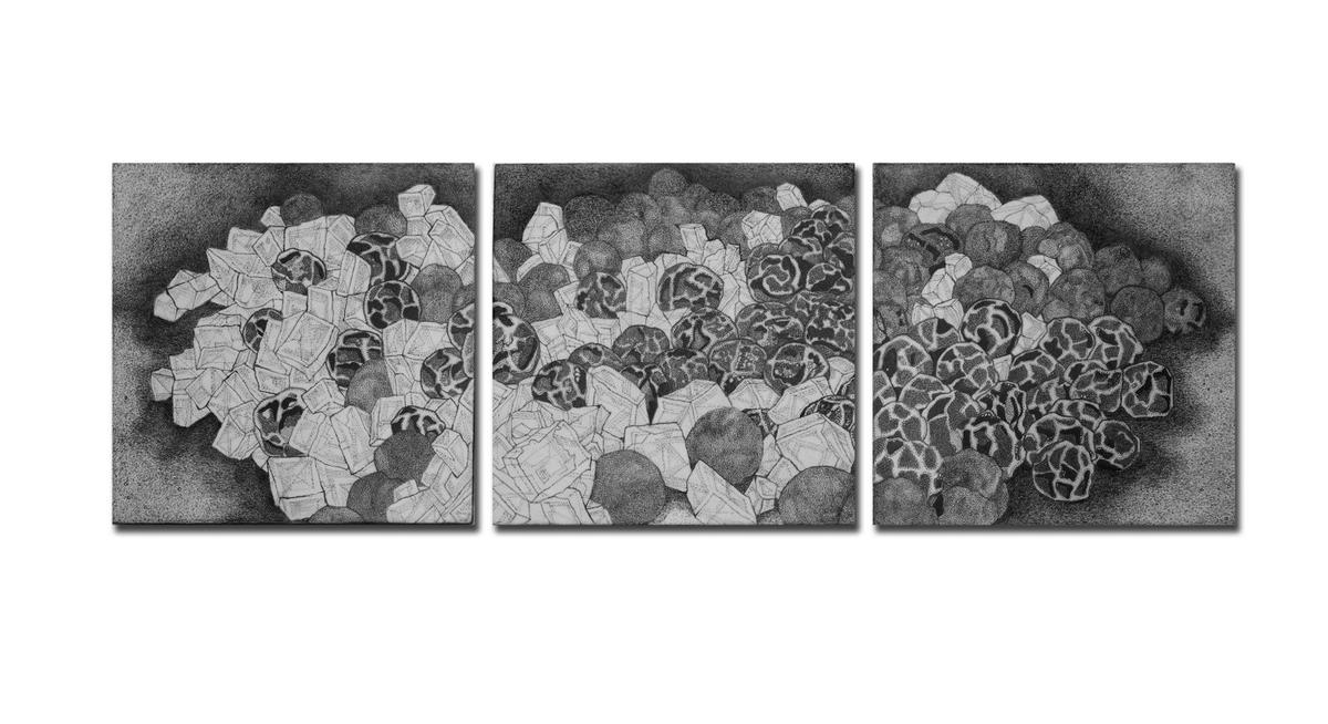 Luoghi di scambio di Parvathi Nayar