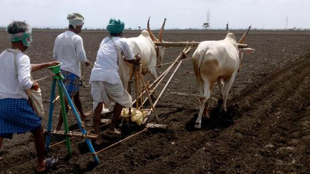 Govt. issues guidelines for land conversion The Hindu