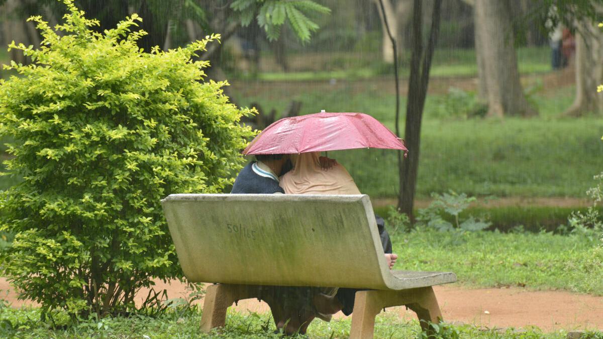 Bengaluru residents start petition against new rules in Cubbon Park