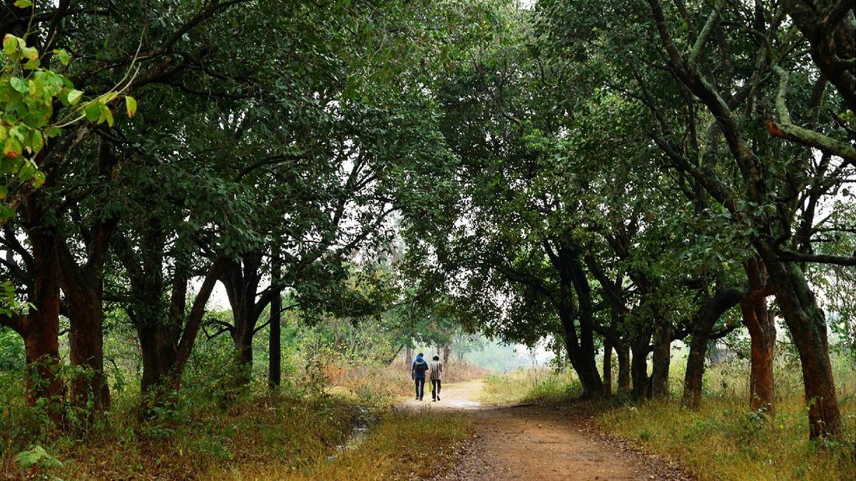 Bird Flu | Drop in visitors at Bannerghatta park