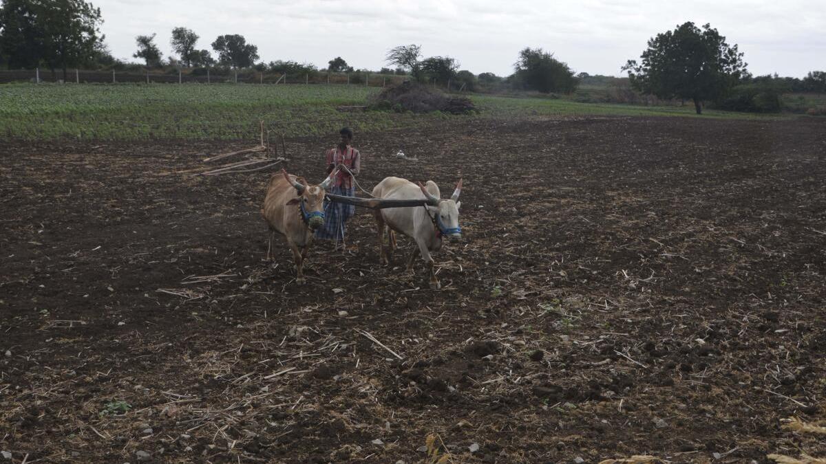 बजट में उत्तरी कर्नाटक के लिए योजनाएं और परियोजनाएं शामिल हैं
