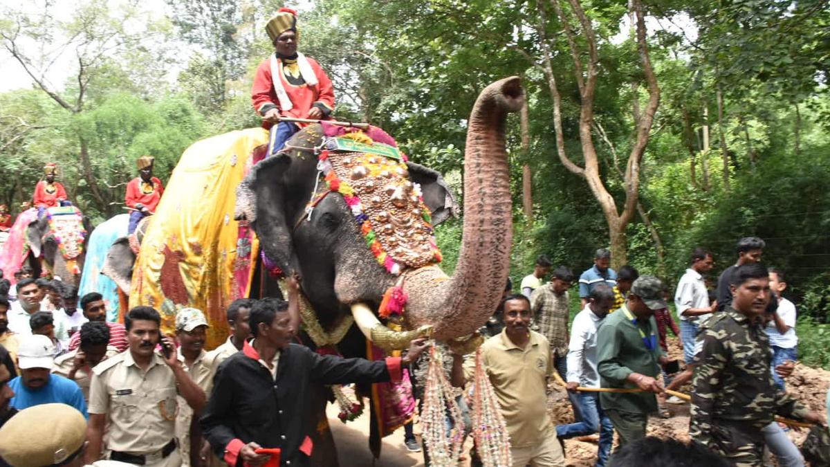 Elephants begin journey to Mysuru for Dasara