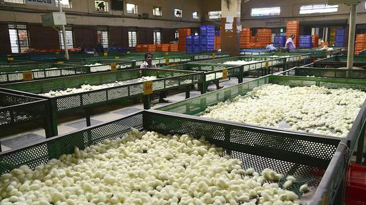 Mysuru gets a raw deal in the budget The Hindu