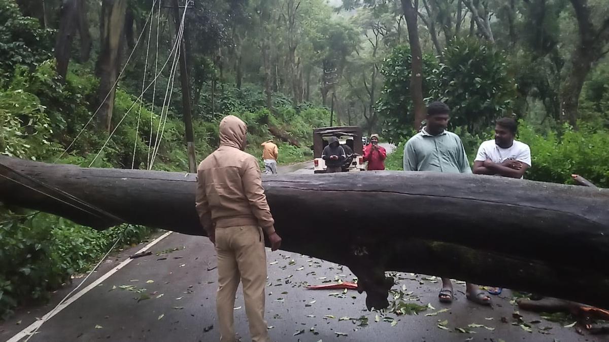 In photos: Karnataka rains on June 16