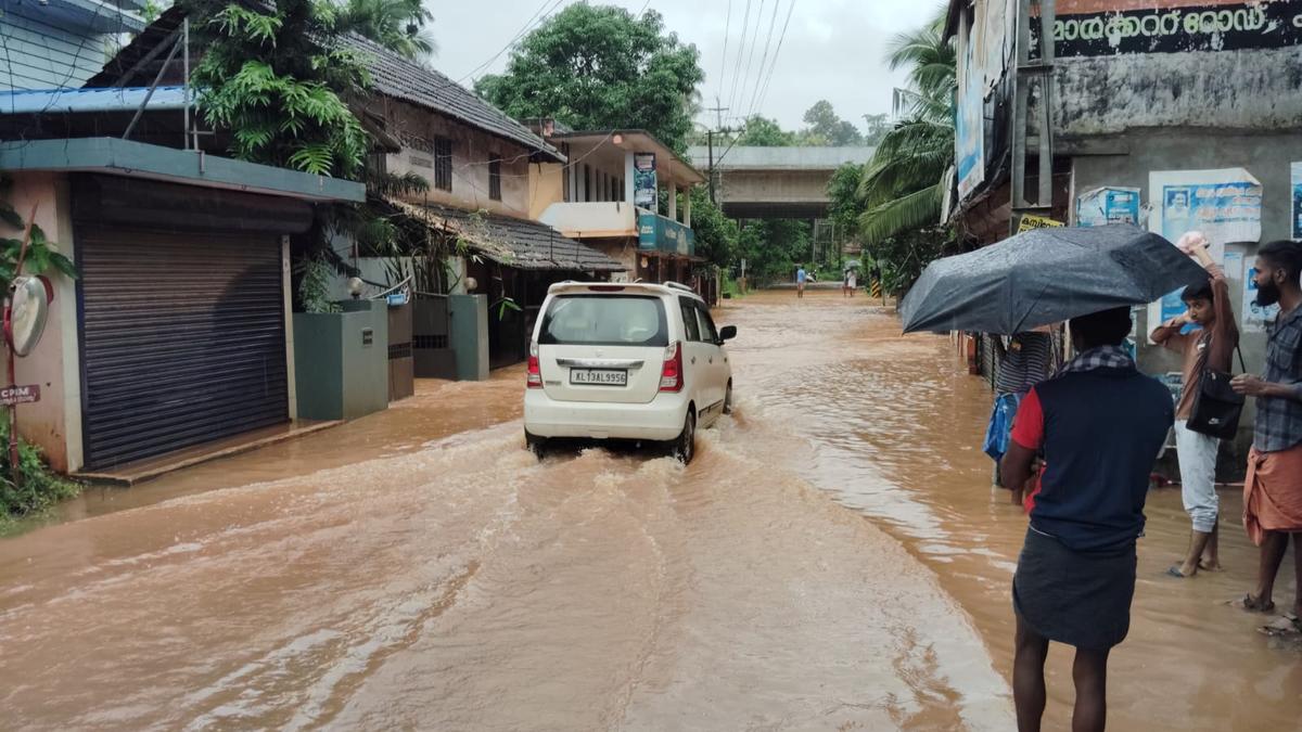 IMD forecasts heavy rains in Kerala, puts Wayanad and Kannur districts on red alert 