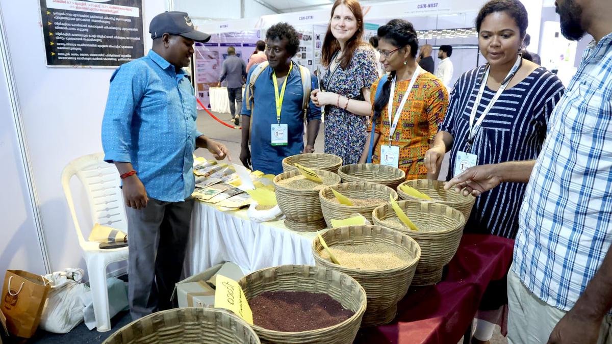 Millet goodies on display at food fair The Hindu