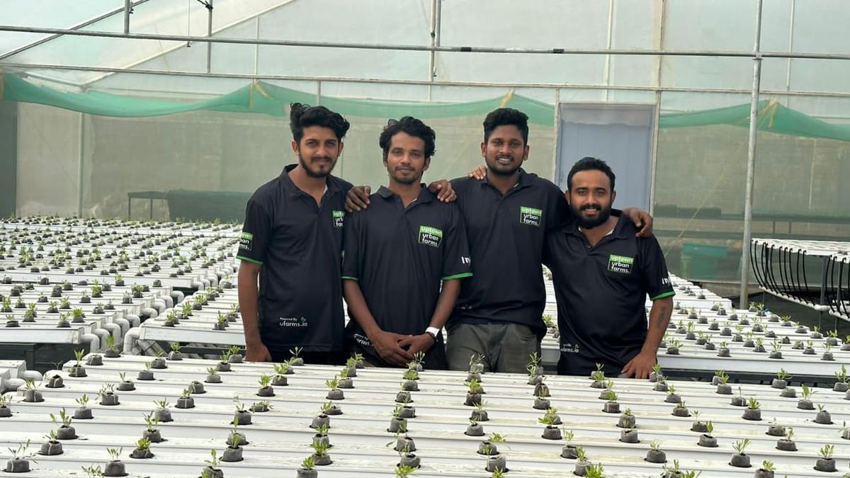 Start-up provides automation push for hydroponic farm