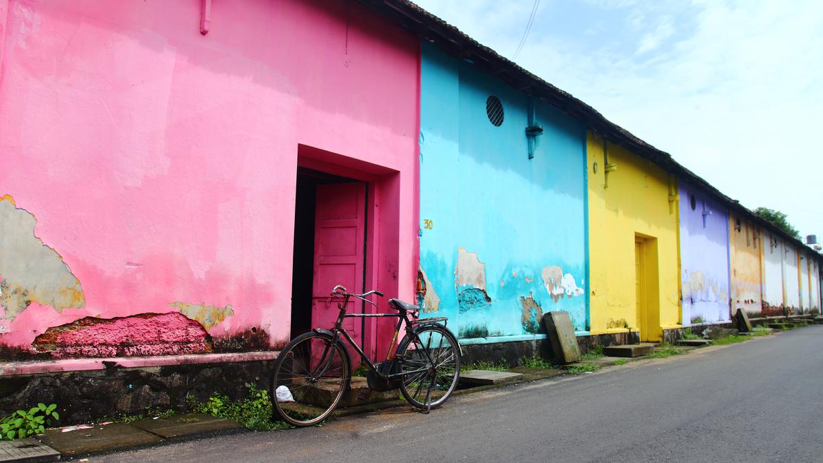 为什么科钦堡和 Mattancherry 成为科钦-Muziris 双年展的举办地