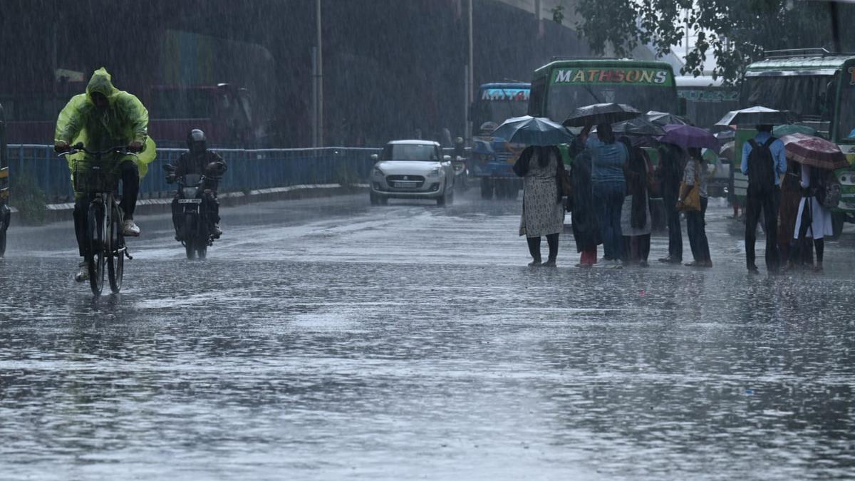 Kerala rains: Rain lashes Kochi city, suburbs