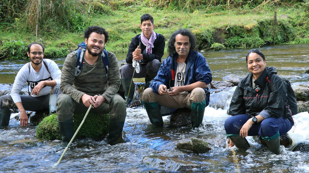 Sathyabhama Das Biju’s untiring expeditions to identify the amphibian diversity of the country