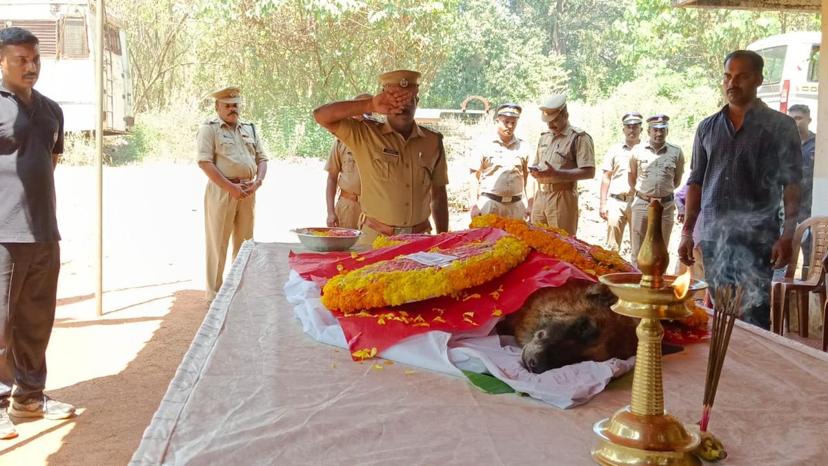 Kerala Police sniffer dog dead
