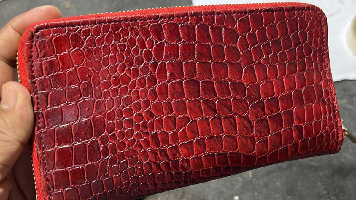 Vegan leather from the National Institute for Interdisciplinary Science and Technology