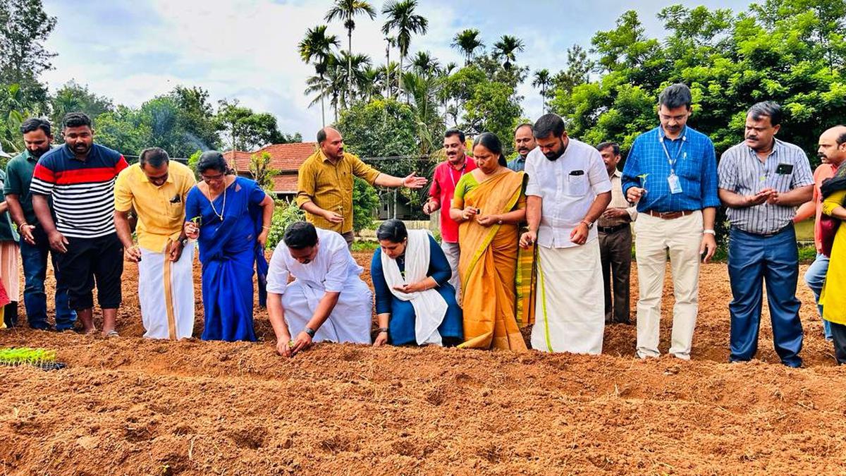 Sulthan Bathery municipality sets up garden to woo tourists during Onam