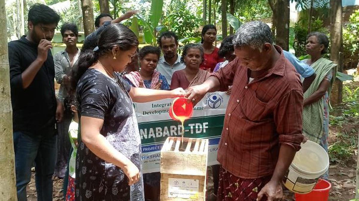 NABARD scripts success story in tribal hamlets of Nilambur