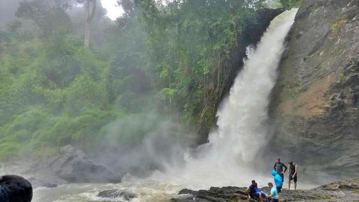 Ecotourism centres reopened in Wayanad after two years